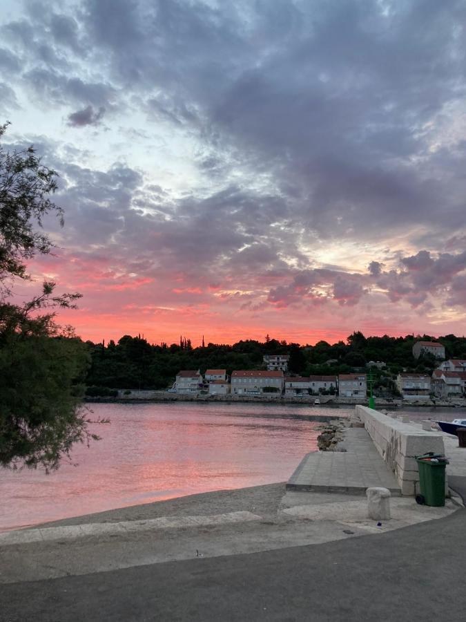 Apartmani Antonia Račišće Esterno foto